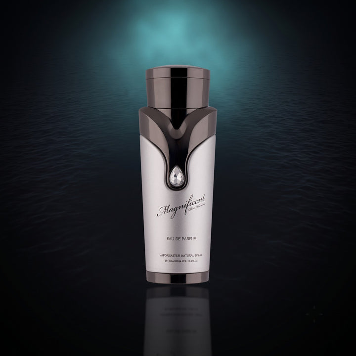 Magnificent Pour Homme de Armaf