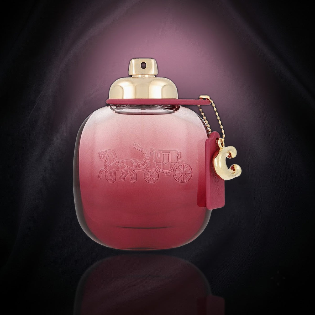 Wild Rose — Coach